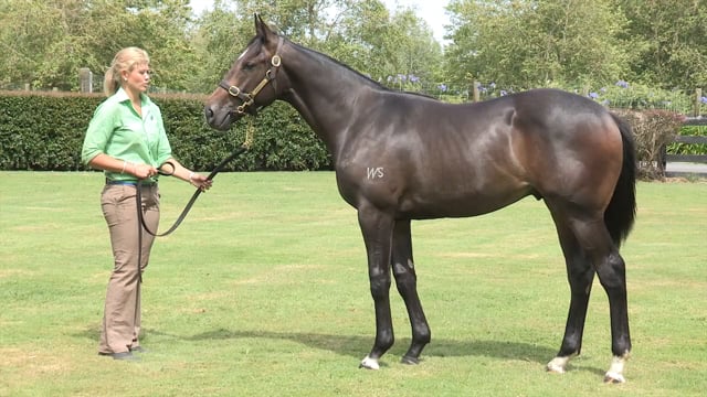 Lot 440