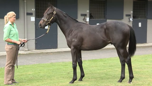 Lot 301