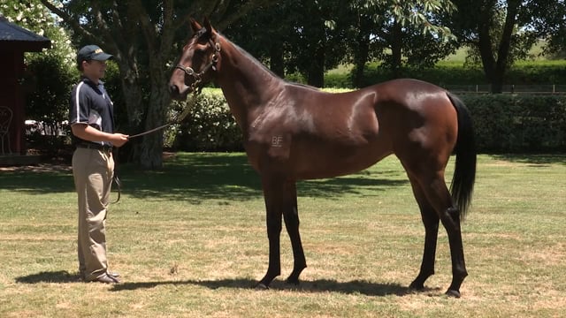 Lot 759
