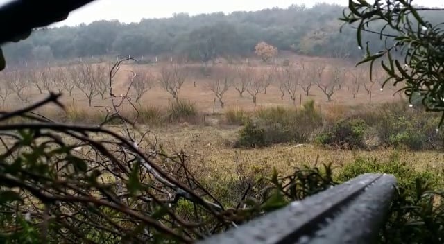 VID-20150118-WA0014.mp4