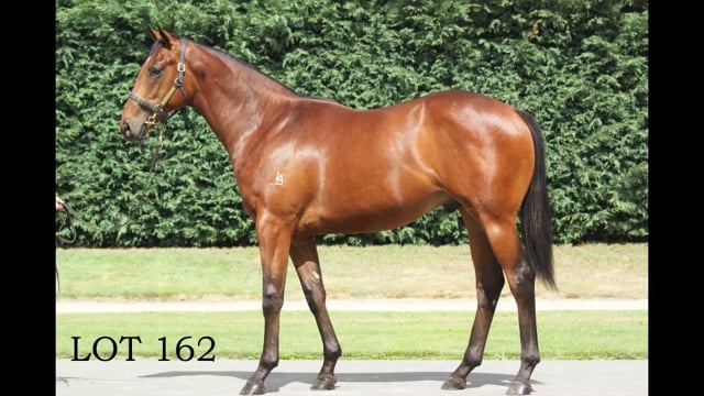 Lot 162