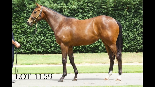 Lot 1159