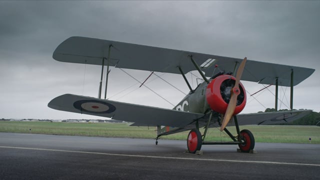 Emory - We're all in this together - Jets