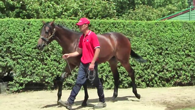 Lot 864