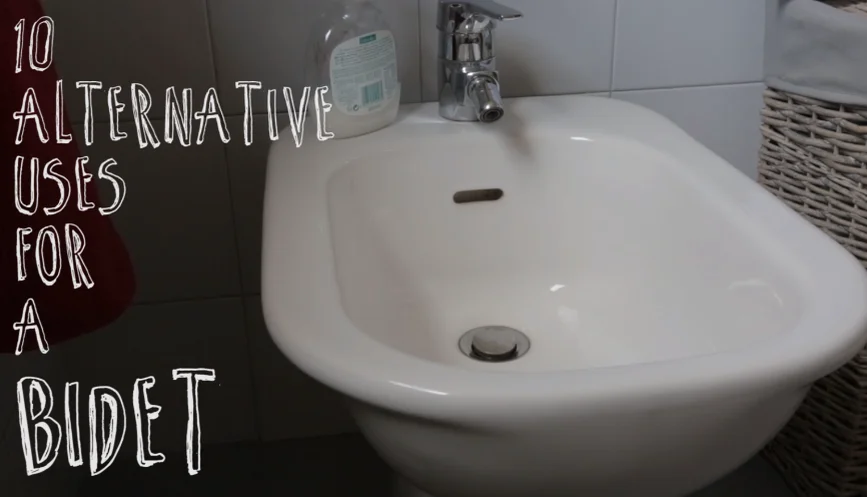 Alternatives to a Bidet