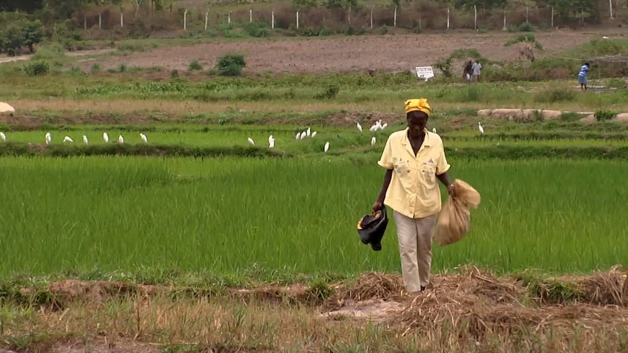 Trade Works: boosting livelihoods, building futures