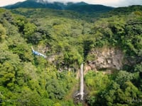 PEXS - Activities & Tours