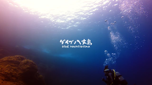 ダイブ八丈島 DIVE HACHIJOJIMA