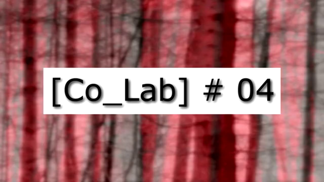 [Co_Lab] #04