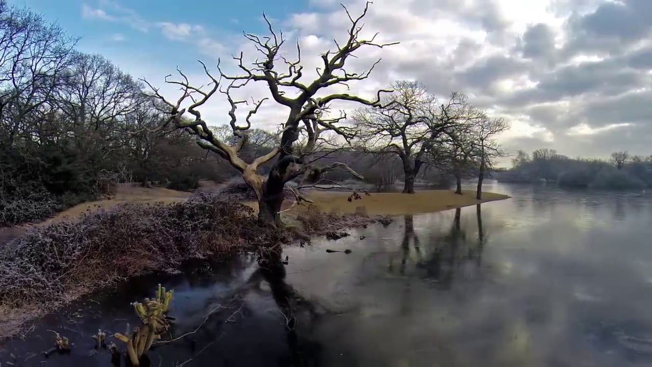 Recent Aerial Footage