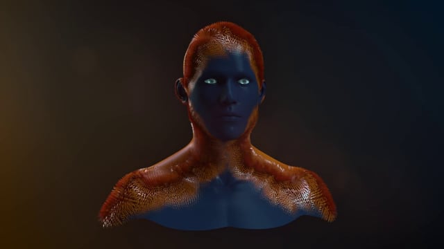 Houdini DA - Propagate, Reveal & Transform