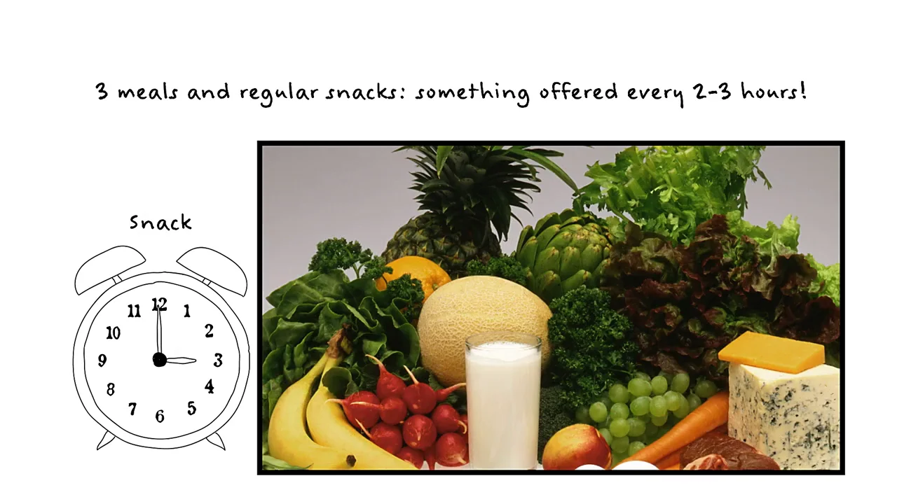 Follow the Feeding Relationship: Offer Healthy Meals and Snacks in ...