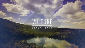 Vulture Senza Tempo