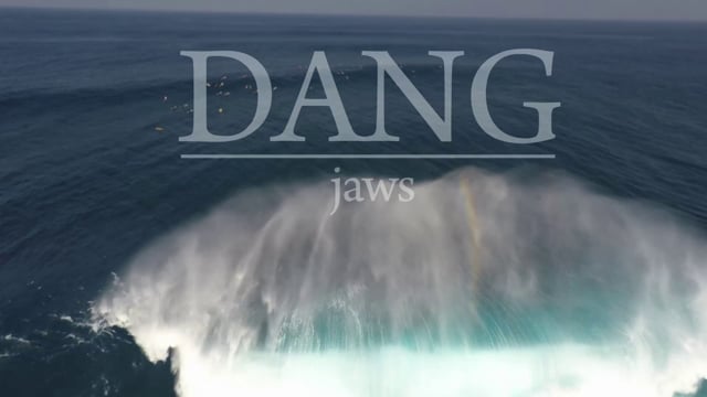 DANG jaws