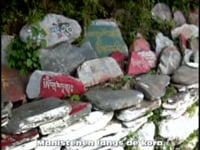 Rondreis door Noord India, Punjab en Ladakh