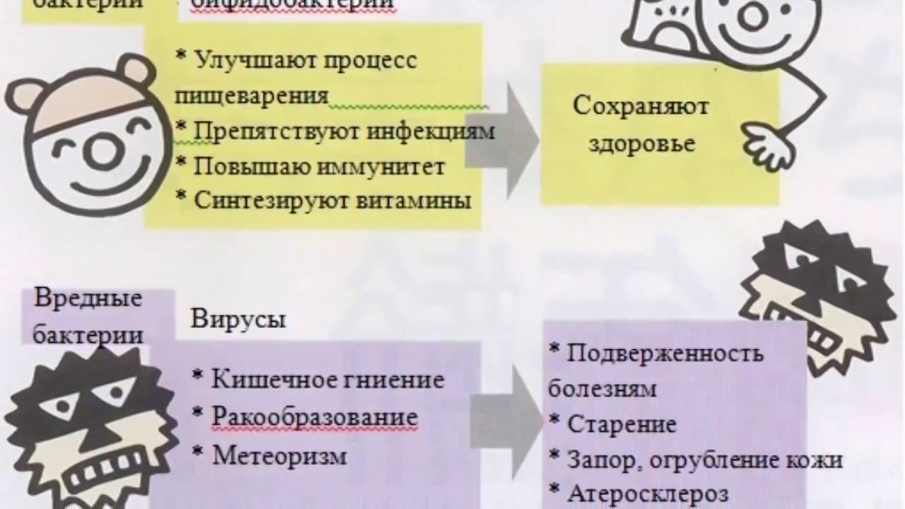 Проект полезные бактерии 5 класс