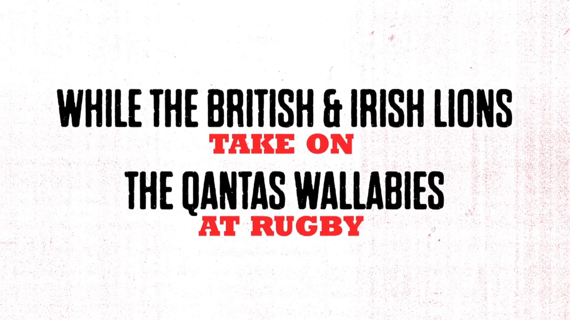 The Mane Event - Challenge 1