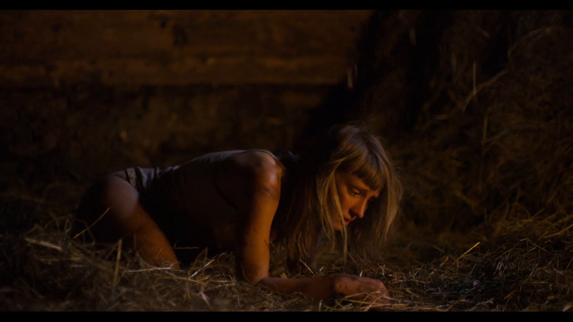 Territoire by Vincent Paronnaud