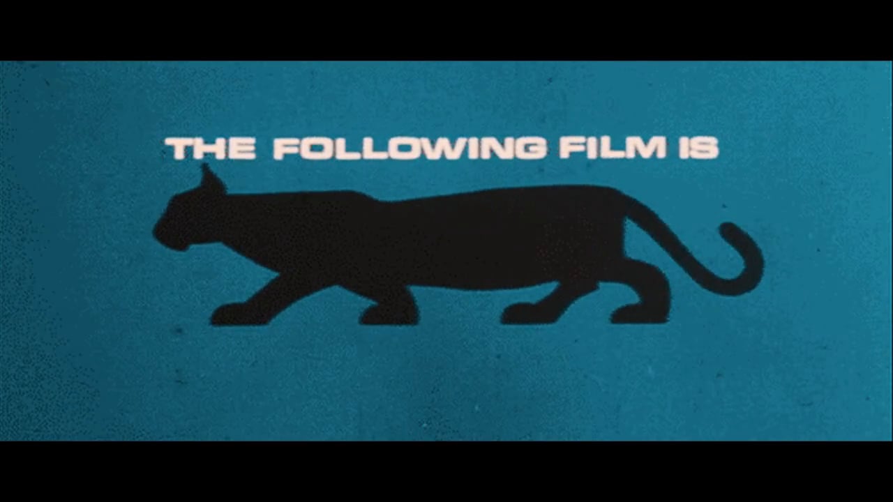 StrangeTalk "Climbing Walls"