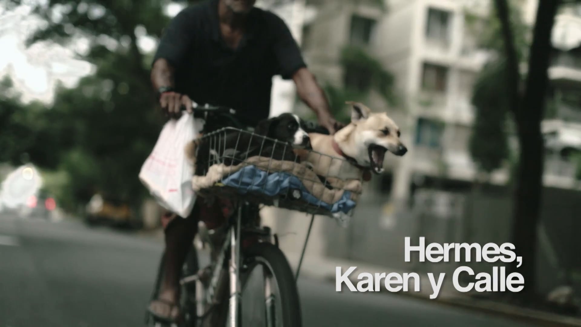Hermes, Karen y Calle