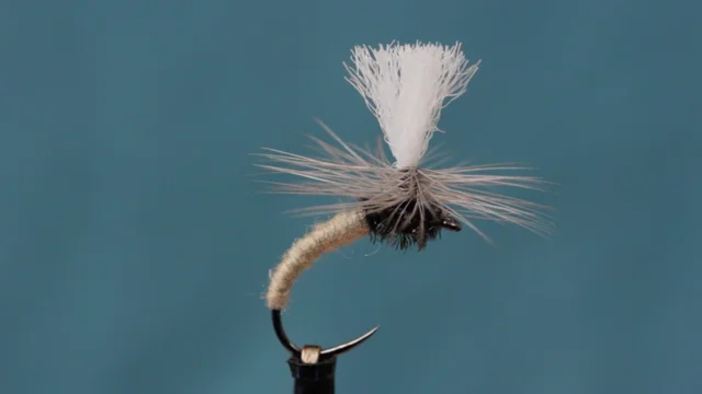 How to tie a Tippet Ring Klinkhammer  Fly tying, Fly tying patterns, Fly  fishing flies pattern