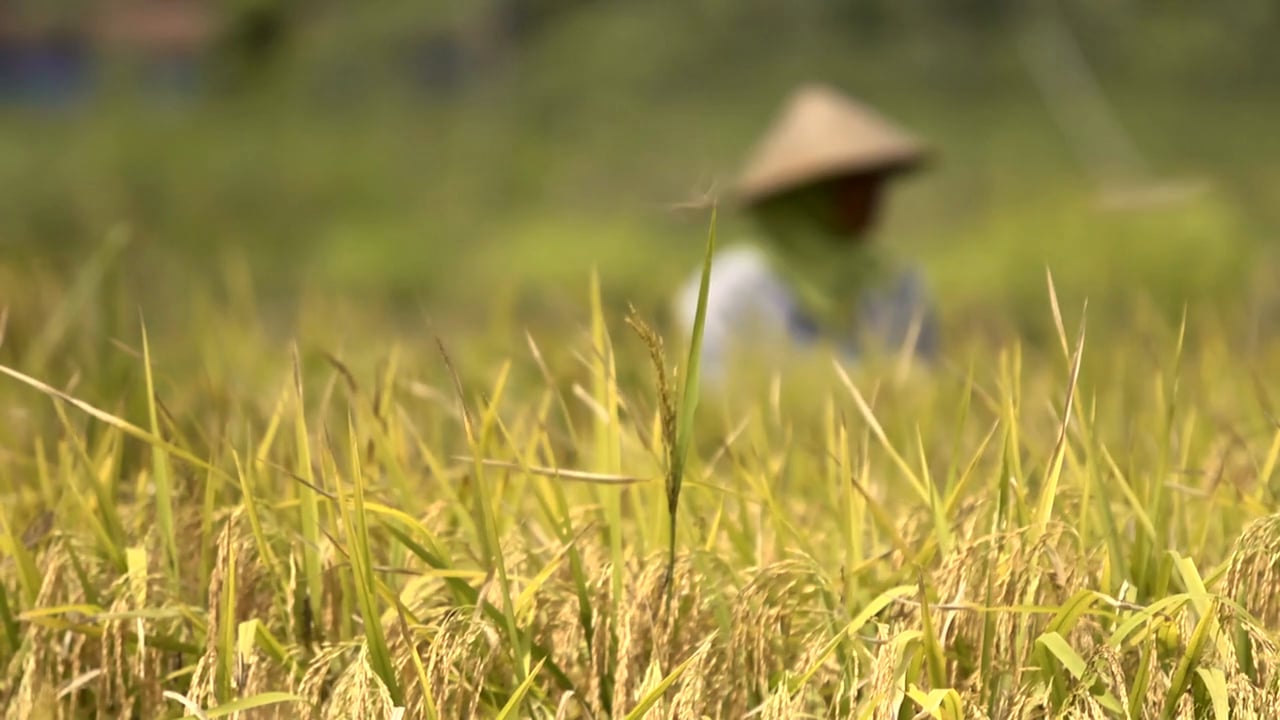 Oxfam Australia | Land is Life