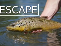 "Escape" - Utah Fly Fishing