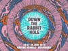 Merijn Hos — Down The Rabbit Hole 2015