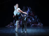 VICENZA – “IL LAGO DEI CIGNI” IN SCENA AL COMUNALE (anteprima)