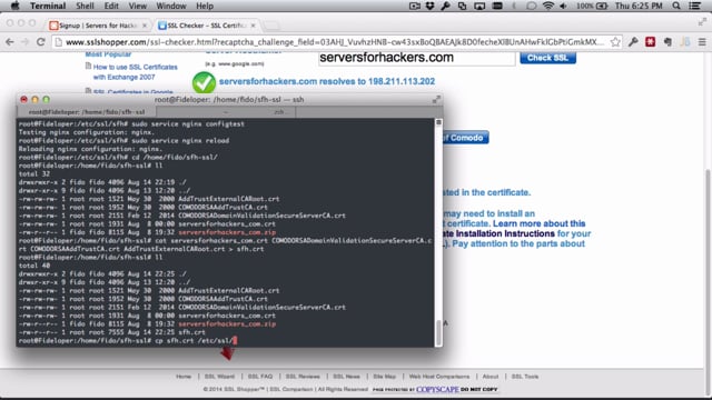 linux how to check ssl certificate