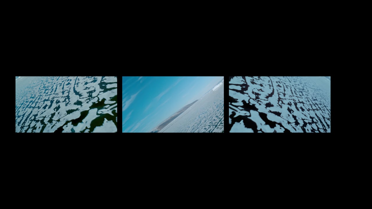 La Vie polaire/Polar Life - Extrait 1