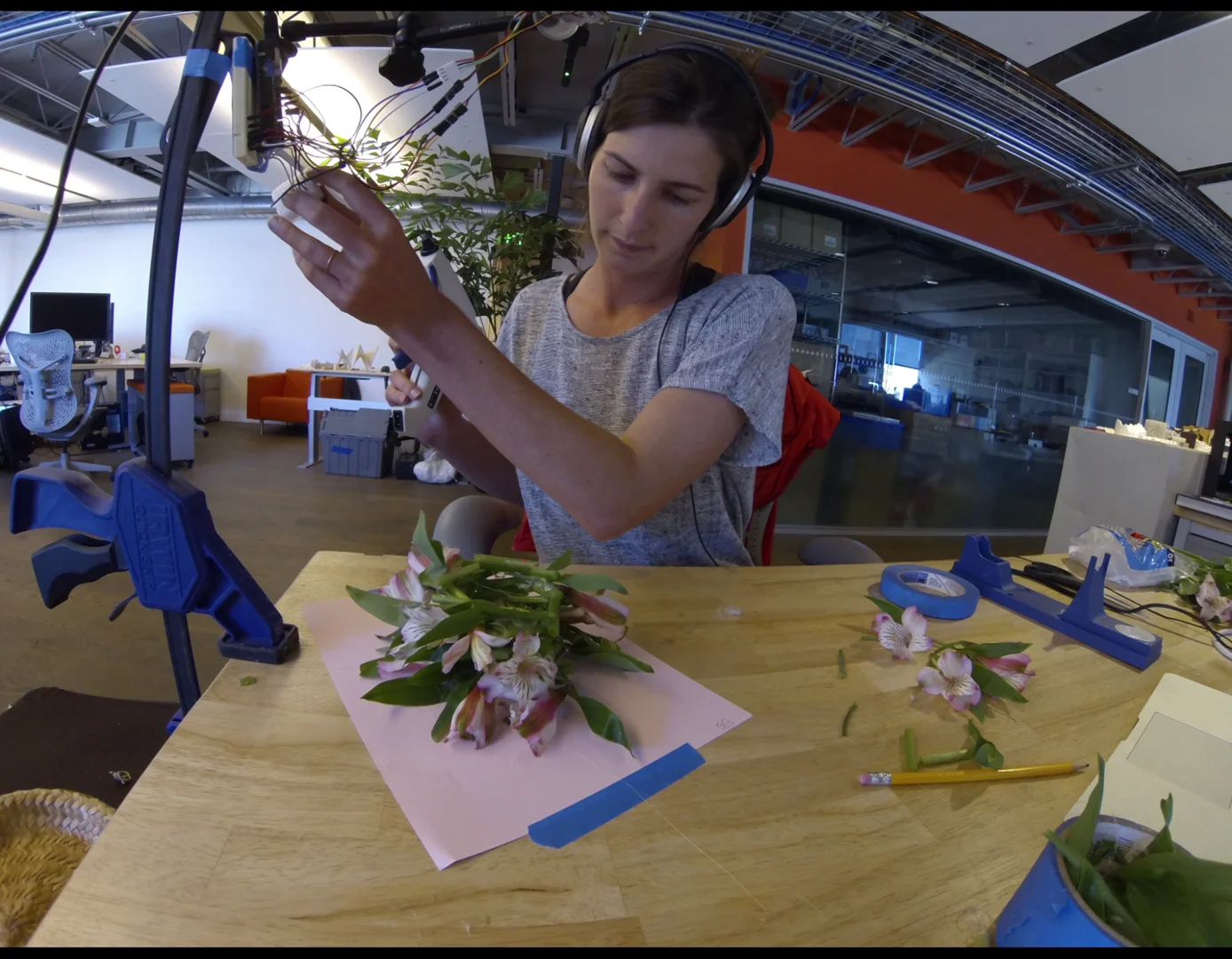flowers on Vimeo
