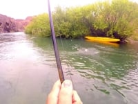 Pesca dique ameghino chubut