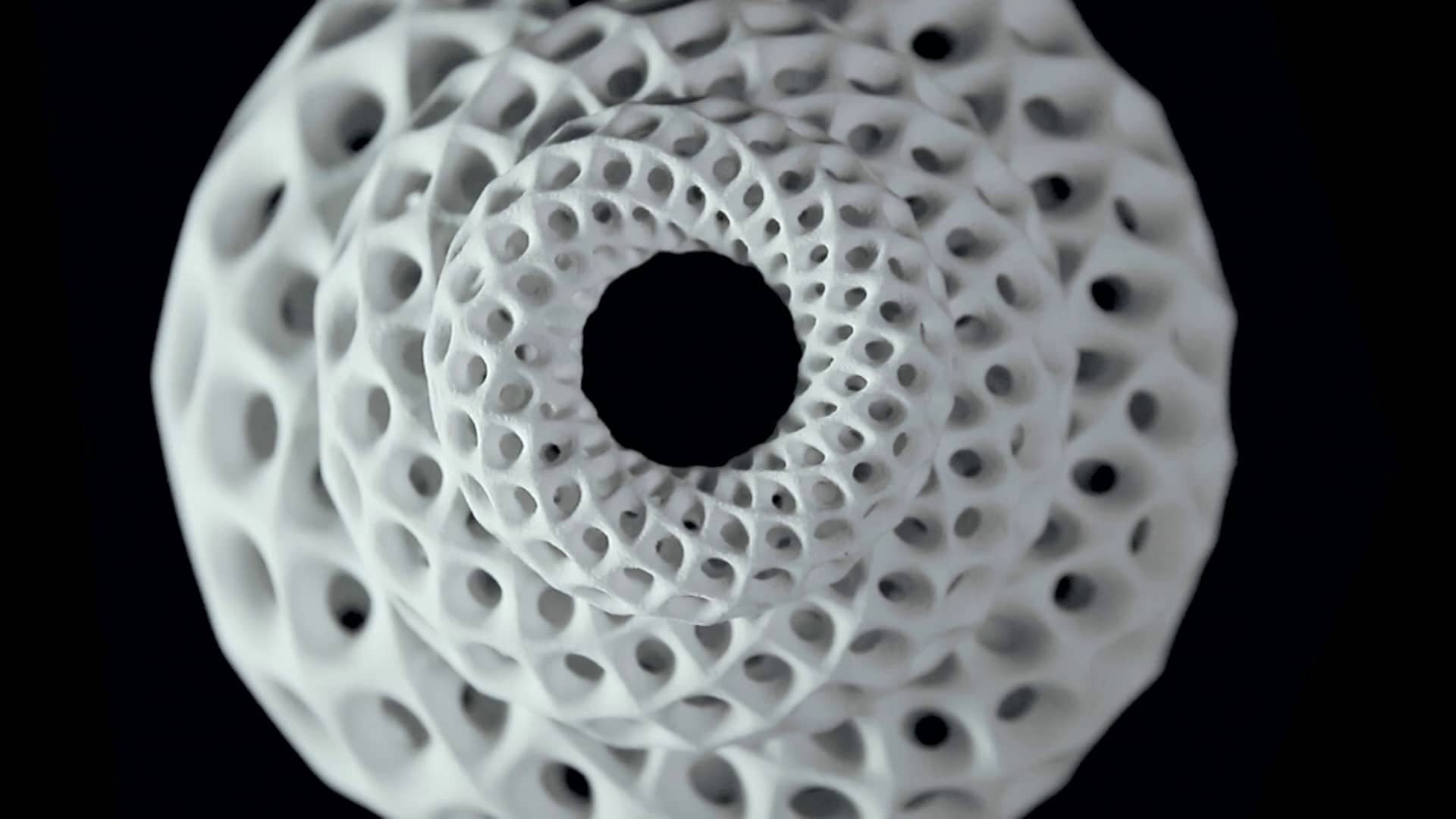 BLOOMS Strobe Animated Sculptures Invented by John Edmark on Vimeo