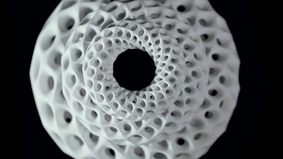 BLOOMS: Strobe Animated Sculptures Invented by John Edmark