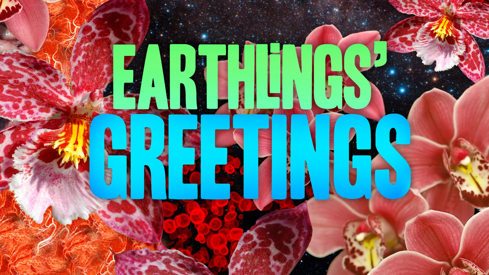 Earthlings' Greetings by Deborah Kelly & Christian J Heinrich