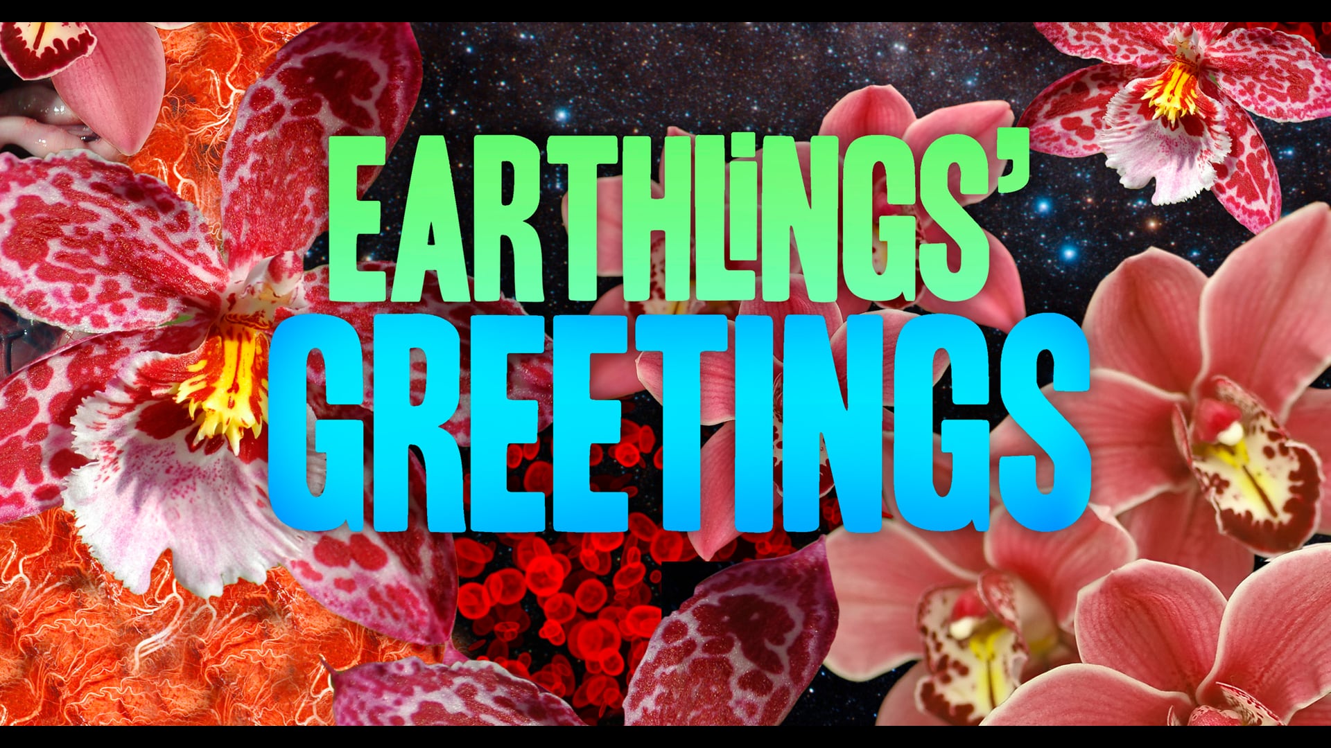 Earthlings' Greetings by Deborah Kelly & Christian J Heinrich
