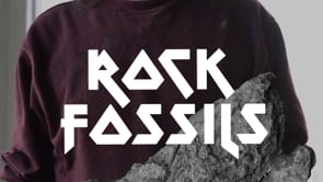 NMBE präsentiert: Paläontologe Bernhard Hostettler & der Eluveitie-Seeigel