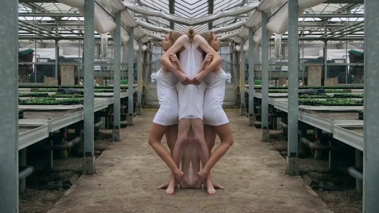 HERMAPHRODIT on Vimeo