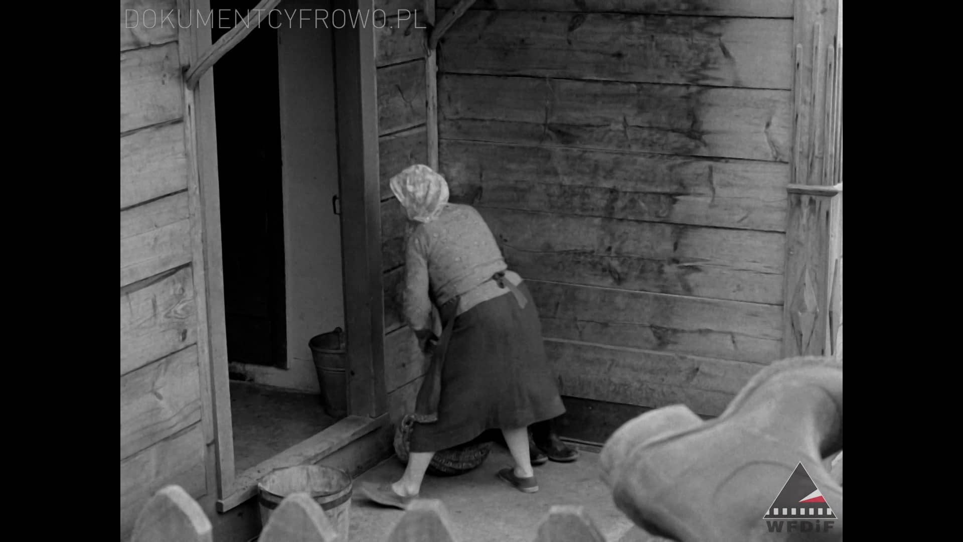 RODZINA CZŁOWIECZA Władysław Ślesicki on Vimeo