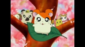 Hamtaro On Vimeo
