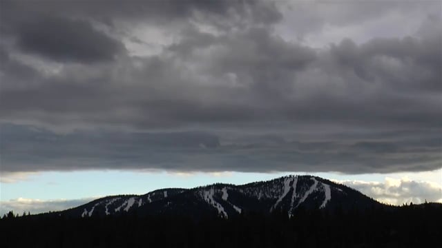 JUST NORTHSTAR from greene