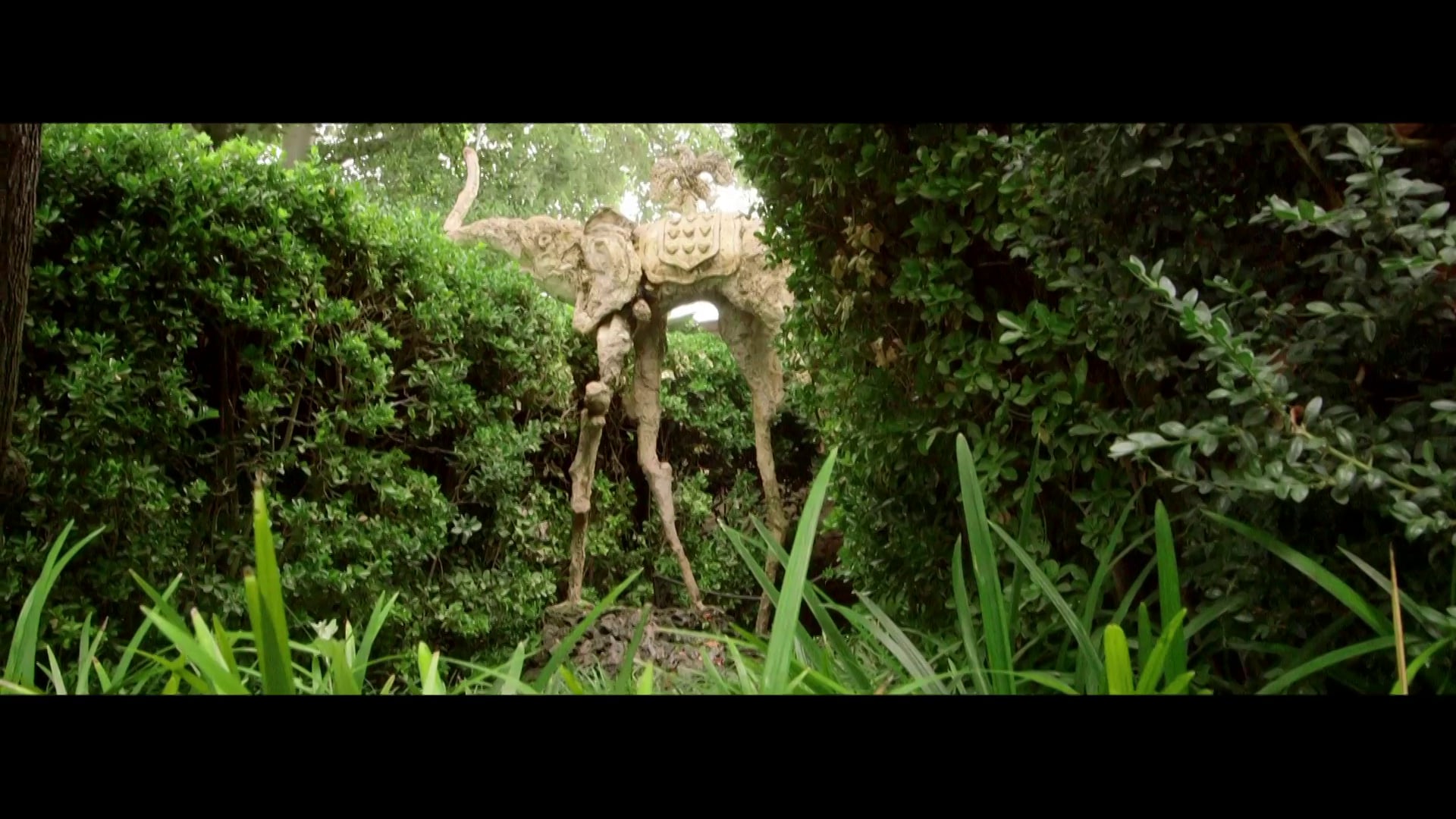 Episode 8. Girona/ La Selva