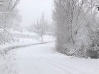 ARCUGNANO, MEZZO COMUNE SOTTO LA NEVE