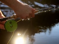 The Orvis Trout Unlimited "Life Member" Fly 