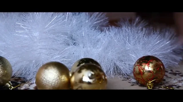 Family Christmas story