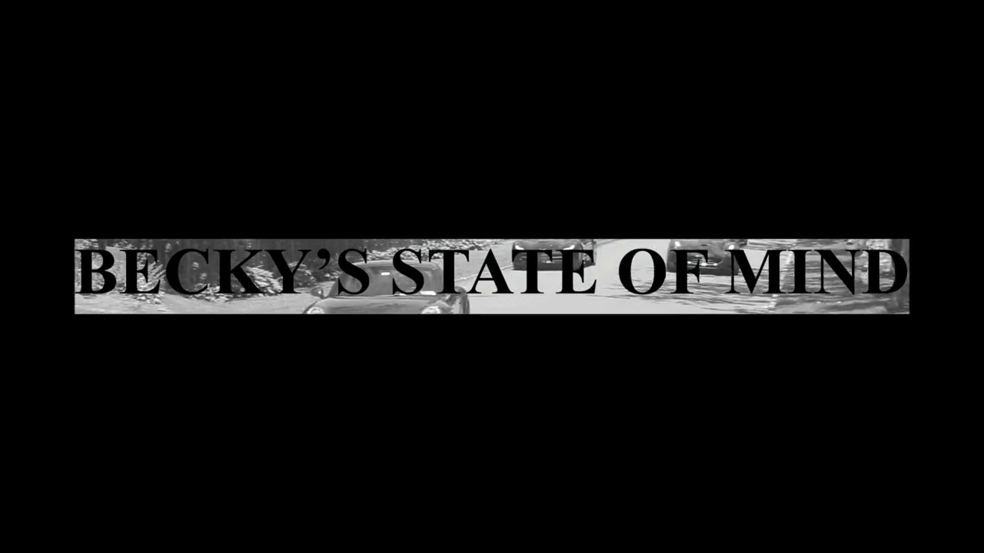 BECKY'S STATE OF MIND {NY Wedding Video} | {NY Bar and Bat Mitzvah Video}