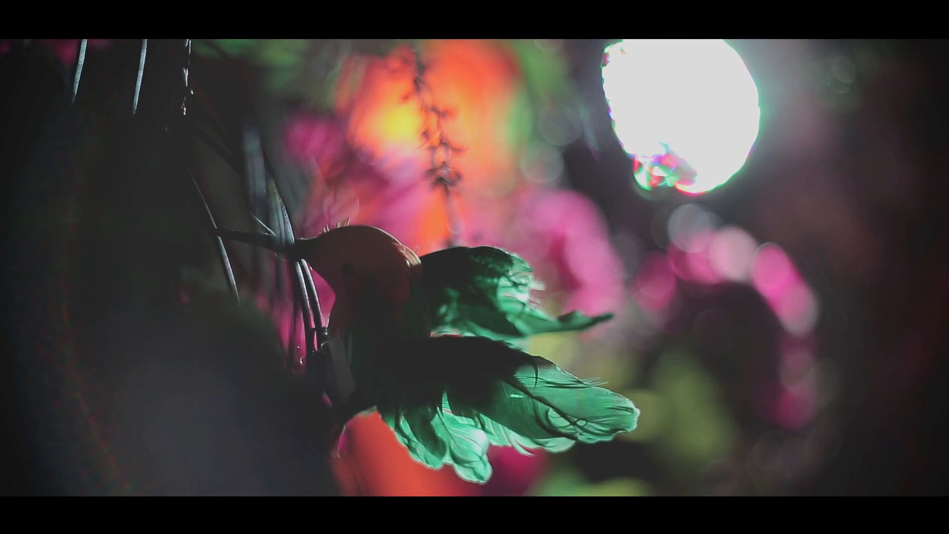 Mia's 1st Birthday Party Video # Orange Grill restaurant, Brooklyn, New York {NY Wedding Video} | {NY 1st Birthday Video}