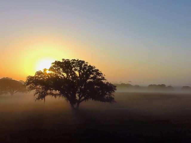 Naturaleza