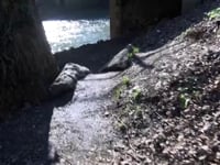 LA MAPPA DELLO SPACCIO A VICENZA